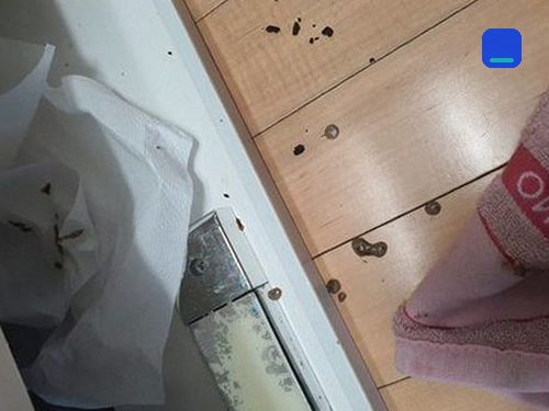 싱크대막힘 온수동 하수구막힘 싱크대막힘